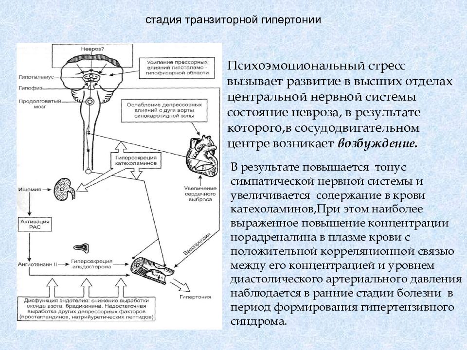 Ситуационное гипертензия