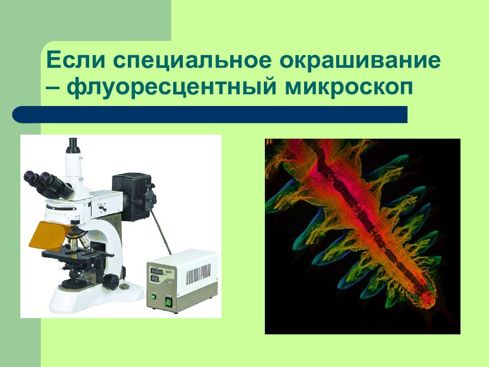 С помощью каких приборов изучают клетки
