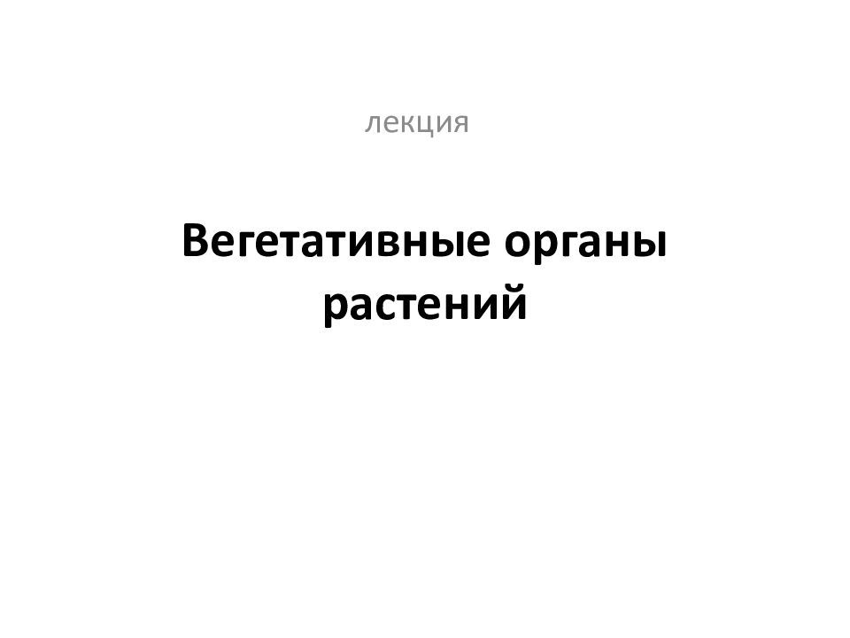 Вегетативные органы растений