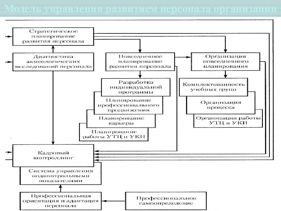 Направления управления персоналом организации