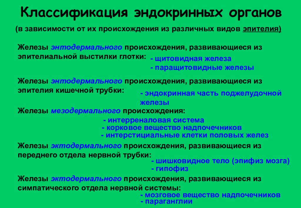 Классификация органов анатомия. Классификация эндокринной системы. Классификация эндокринных органов. Классификация желез эндокринной системы. Эндокринные железы классификация.