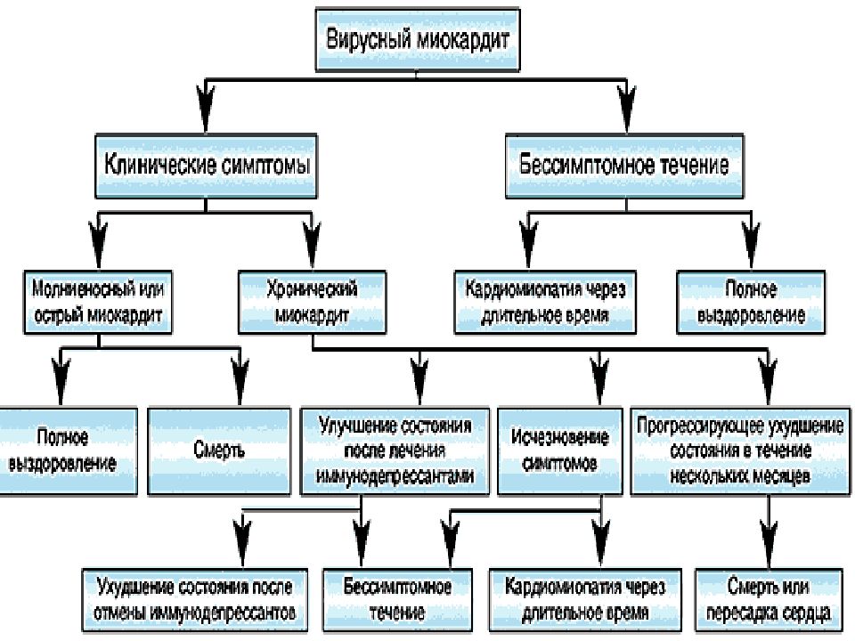 Клиническая картина миокардита