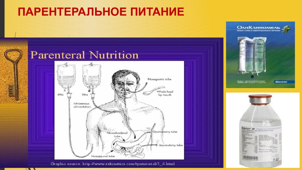 Парентеральное питание картинка для презентации