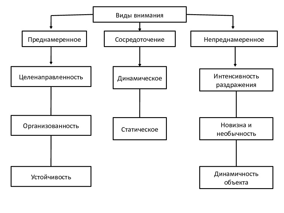Внимание схема. Виды внимания схема. Виды внимания в психологии схема. Выделяют следующие виды внимания:. Преднамеренные и непреднамеренные поступки.