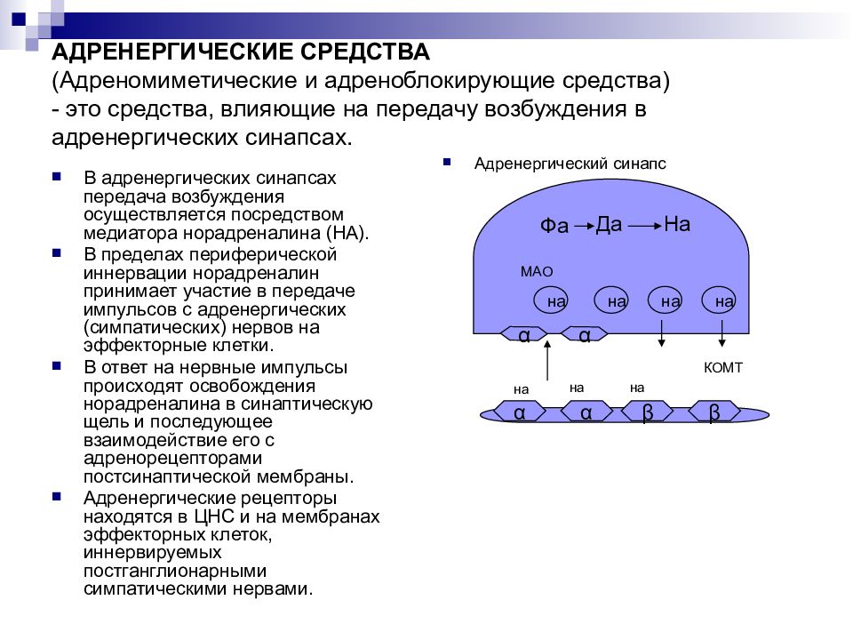 Адренергические средства презентация