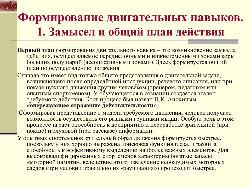 Развитие двигательных навыков. Формирование двигательных умений и навыков. Формирование двигательного навыка. Этапы формирования двигательных умений и навыков. Этапы формирования двигательных навыков у детей.