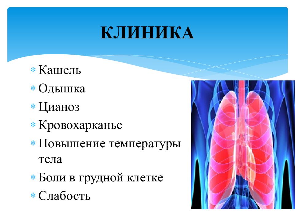 КЛИНИКА