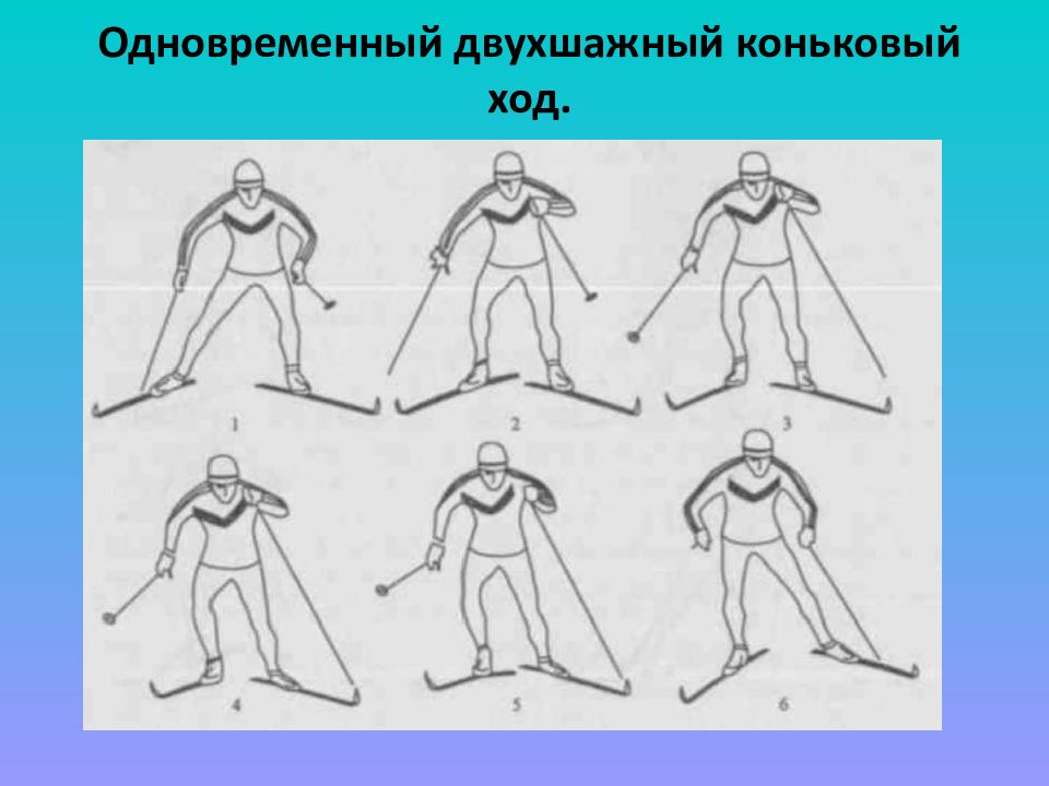 Техника выполнения конькового хода. Двухшажный коньковый ход. Полуконьковый одновременный ход. Коньковые лыжные ходы. Одновременный двухшажный коньковый ход.