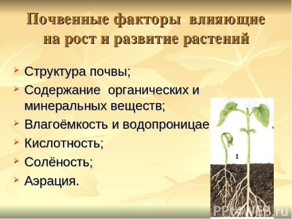 Факторы жизни растений презентация