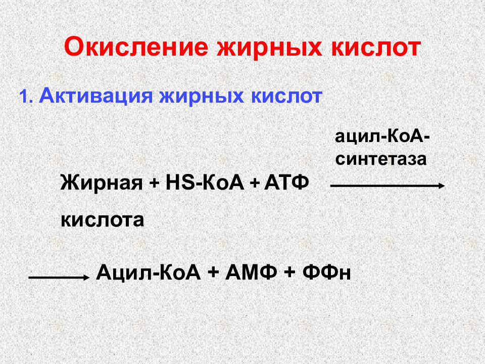 Окисление жирных кислот. Активация жирных кислот. Ацил КОА. Ацил КОА синтетаза.