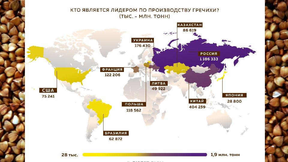 Гречиха посевная где растет