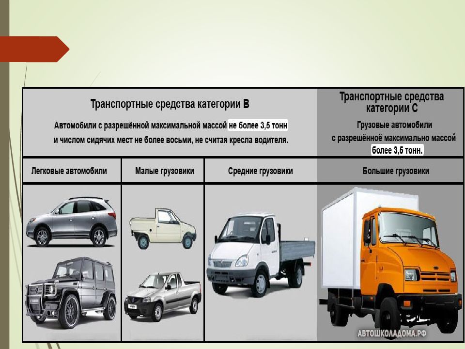 Общие положения презентация