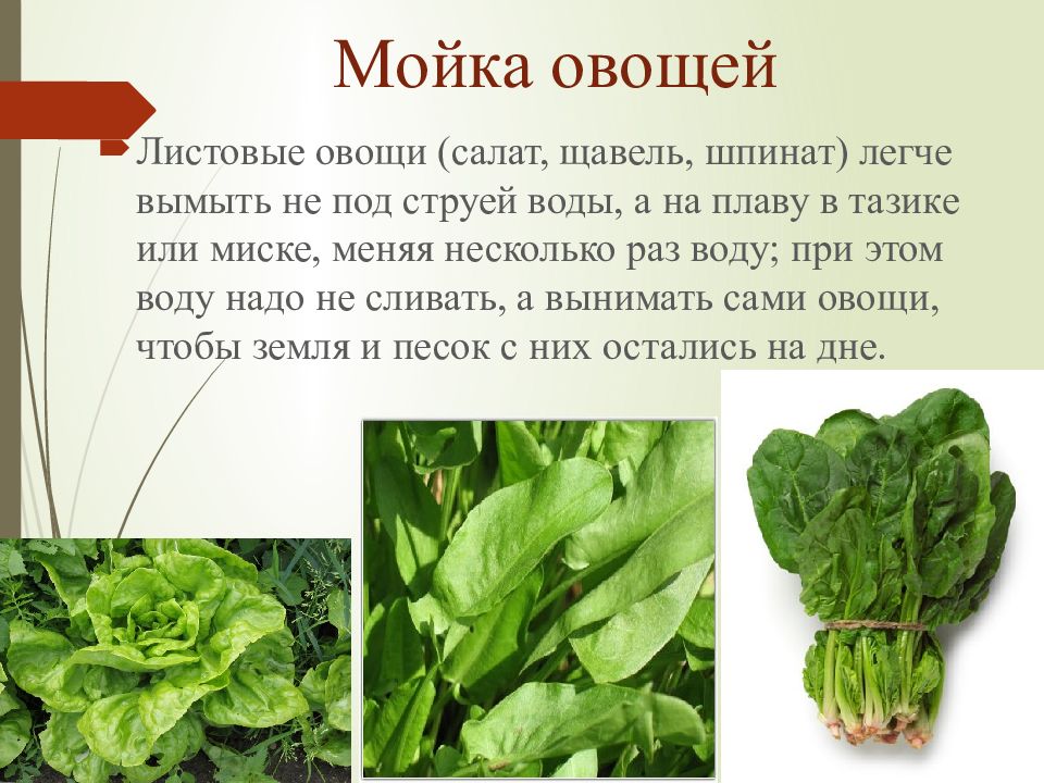Что значит щавель сленг
