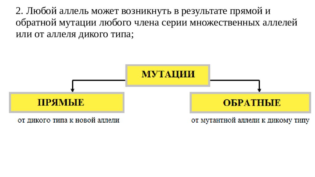 Аллель дикого типа. Организм, возникший в результате обратной мутации.