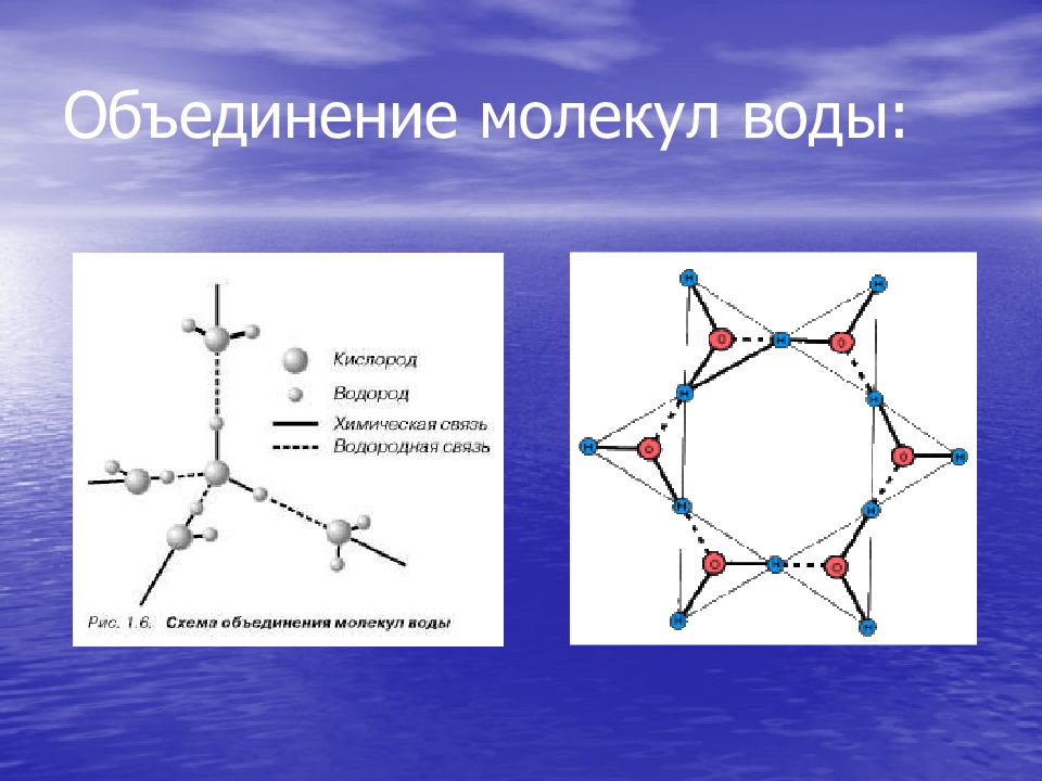 Чем отличается молекула. Структура молекулы воды. Молекула воды схема. Строение молекулы. Строение молекулы воды.