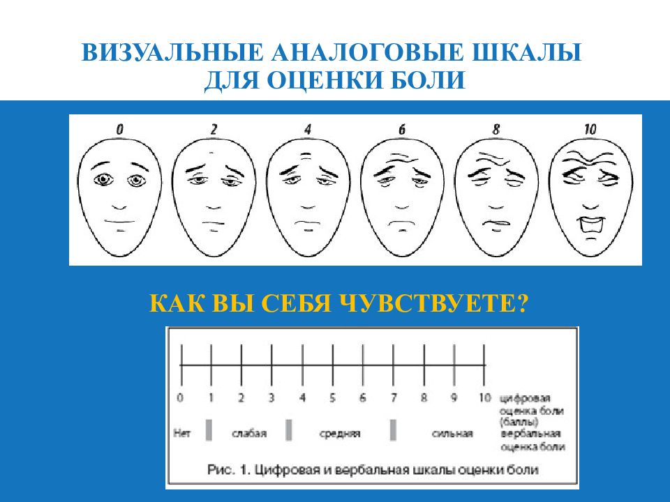 Шкала ваш картинки