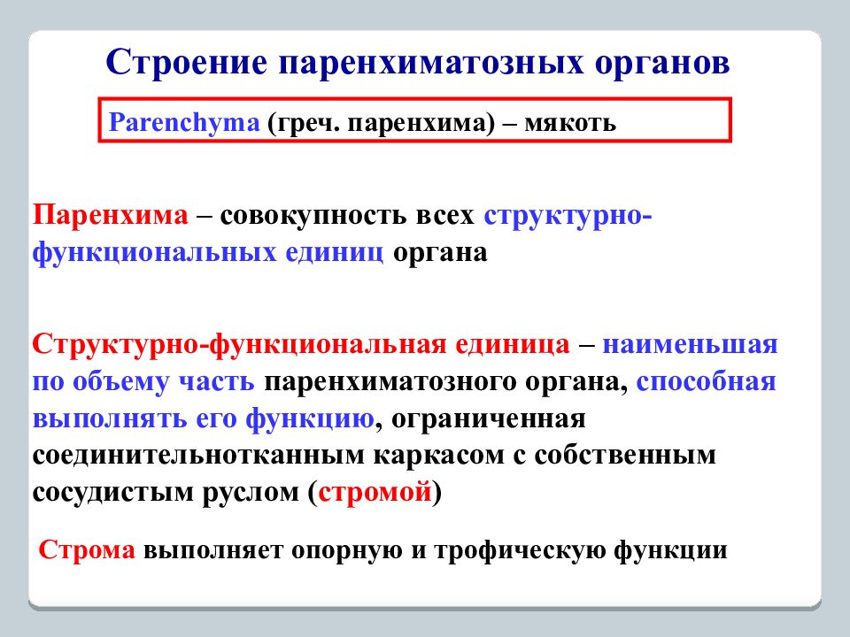 Паренхиматозные органы. Строение паренхиматозных органов. Строение паренхиматозного органа анатомия. Общие принципы строения паренхиматозных органов. Паранхемальные органы.