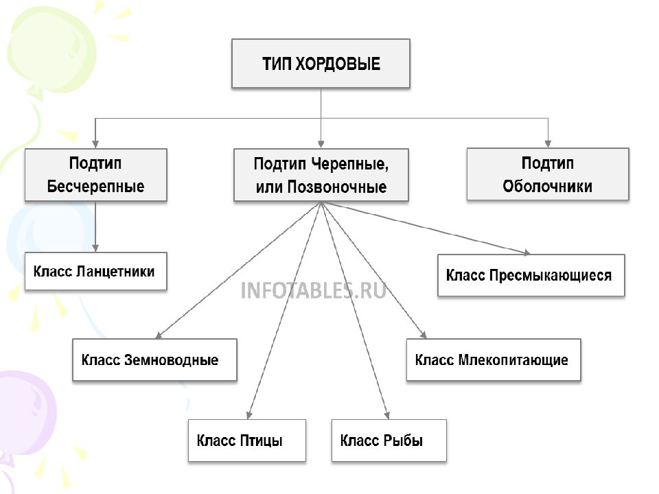 На какие царства разделяют в настоящее время все известные организмы?