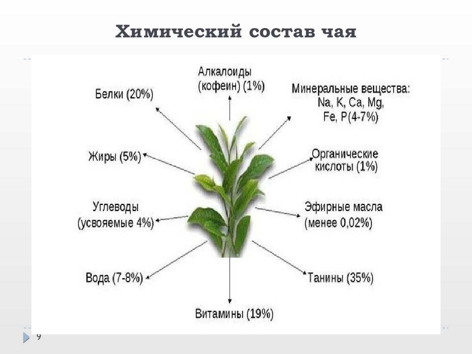 Проект химический состав чая