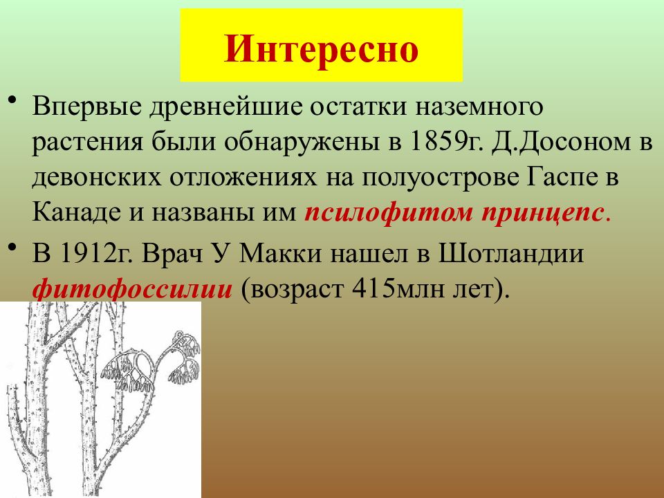 Презентация по биологии 6 класс историческое развитие растительного мира пономарева