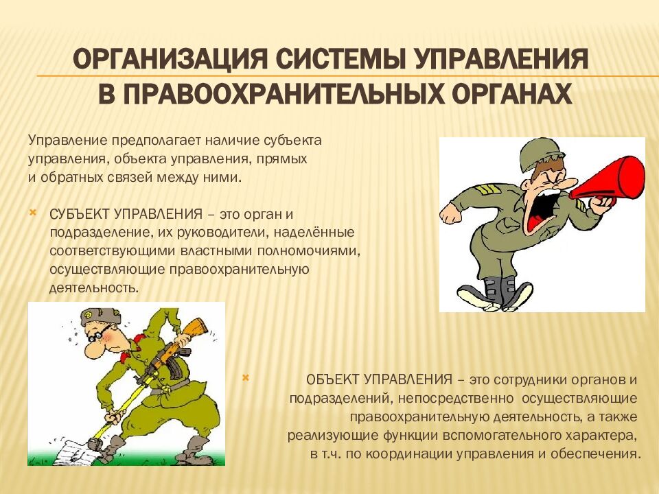 Организация системы управления в правоохранительных органах