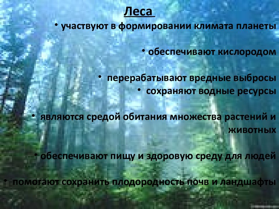 Цель охраны леса. Леса перерабатывают кислород. Охрана леса человеком. Лес формирует климат. Категории защитных лесов.