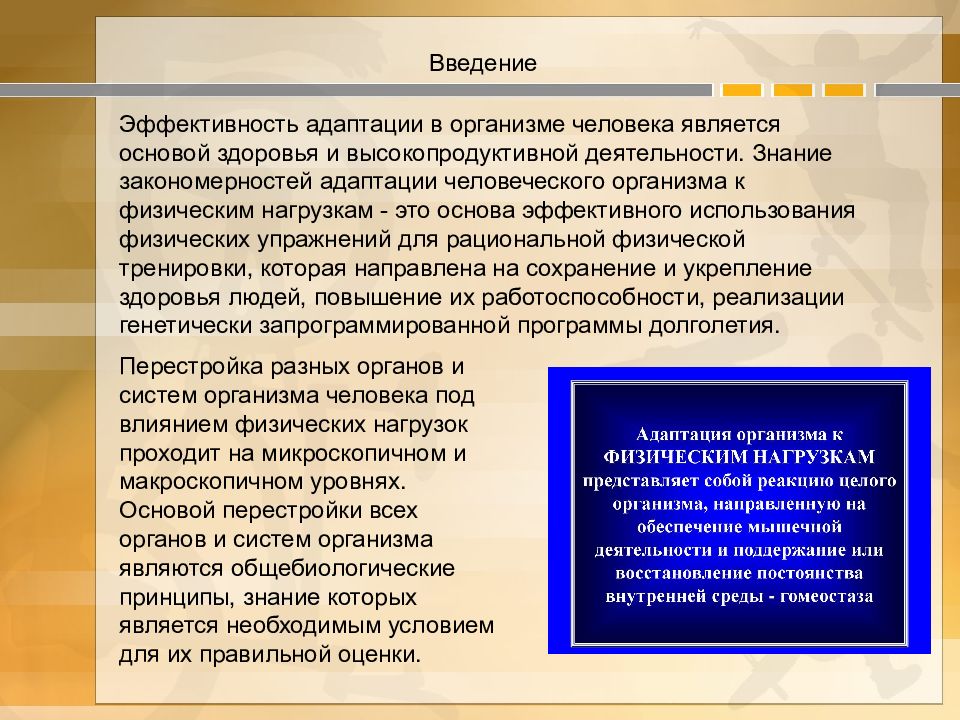 Презентация на тему адаптация человеческого организма к физическим нагрузкам