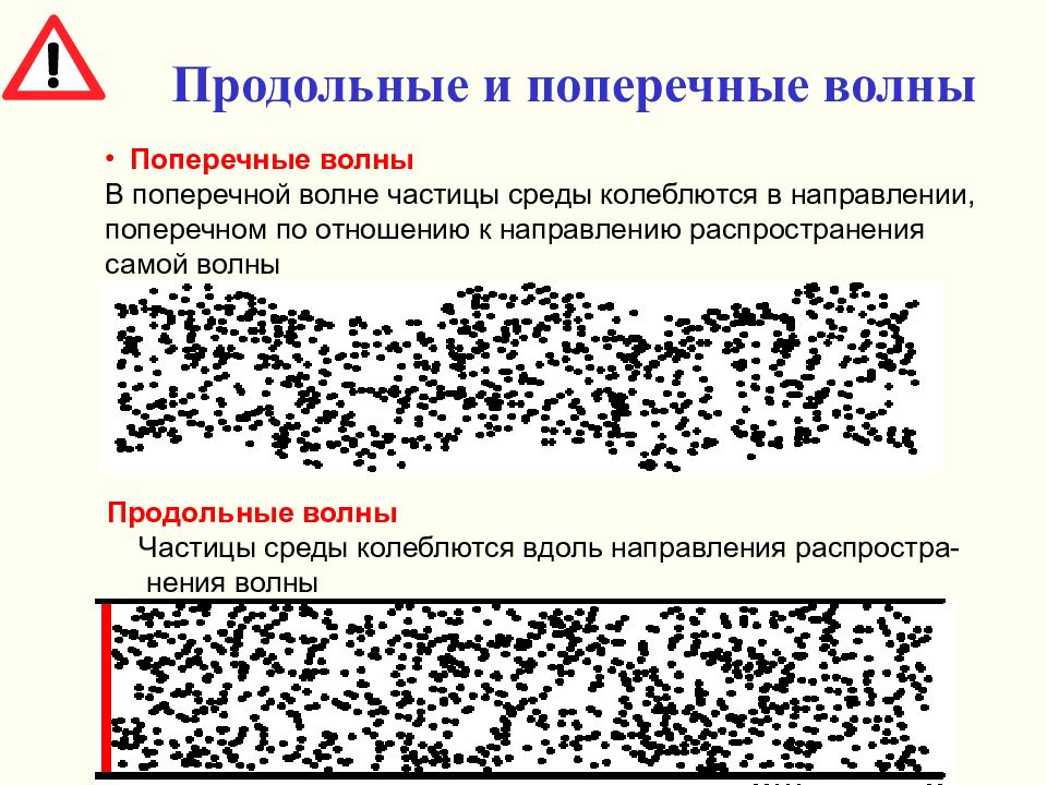 Колебания частиц воздуха. Частицы в поперечной волне. Ультразвук это поперечная волна. Биоакустика.