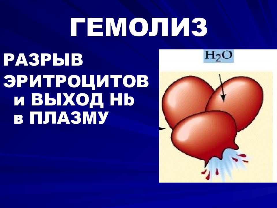 Гемолиз эритроцитов. Физиологический гемолиз эритроцитов. Гемолиз крови физиология. Гемолиз эритроцитов физиология.