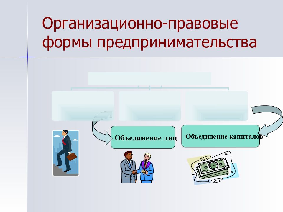 Правовые формы предпринимательства тест