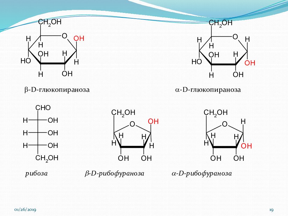 Рибоза реакция гидролиза. Аномер глюкопиранозы. Циклические формы d- глюкопиранозы. Строение Альфа-рибозы. Альфа д глюкопираноза формула Фишера.