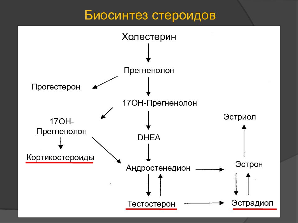 Синтез половых гормонов схема