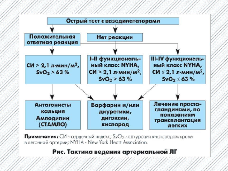 Схема лечения легочной гипертензии