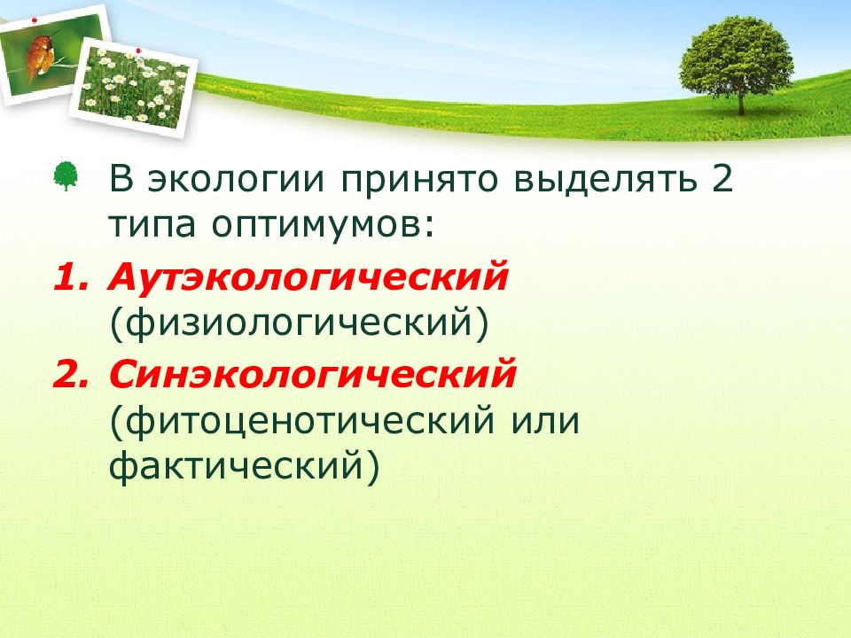 Фактические экологические. Экологические факторы в экологии презентация. Аутэкологический Оптимум. Аутэкологические понятия это. Синэкологический подход в экологии.