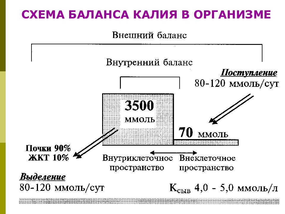 Презентация про калий