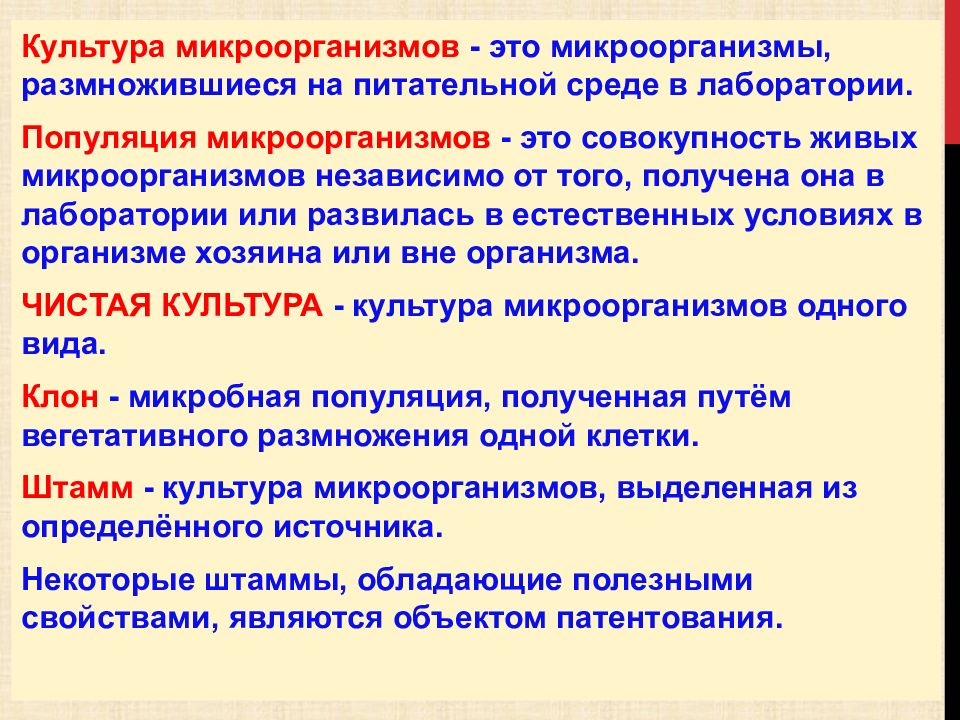 Жива культура бактерии. Культура микроорганизмов это. Культура это микробиология. Понятие о чистой культуре микроорганизмов. Чистая культура микроорганизмов.