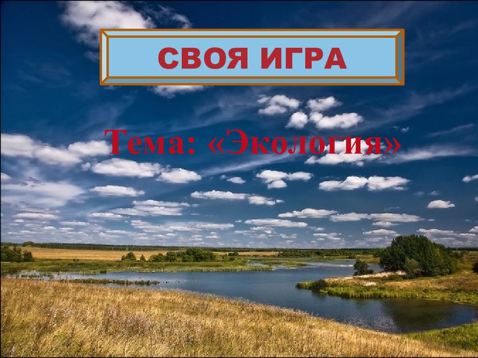 СВОЯ ИГРА Тема: «Экология »