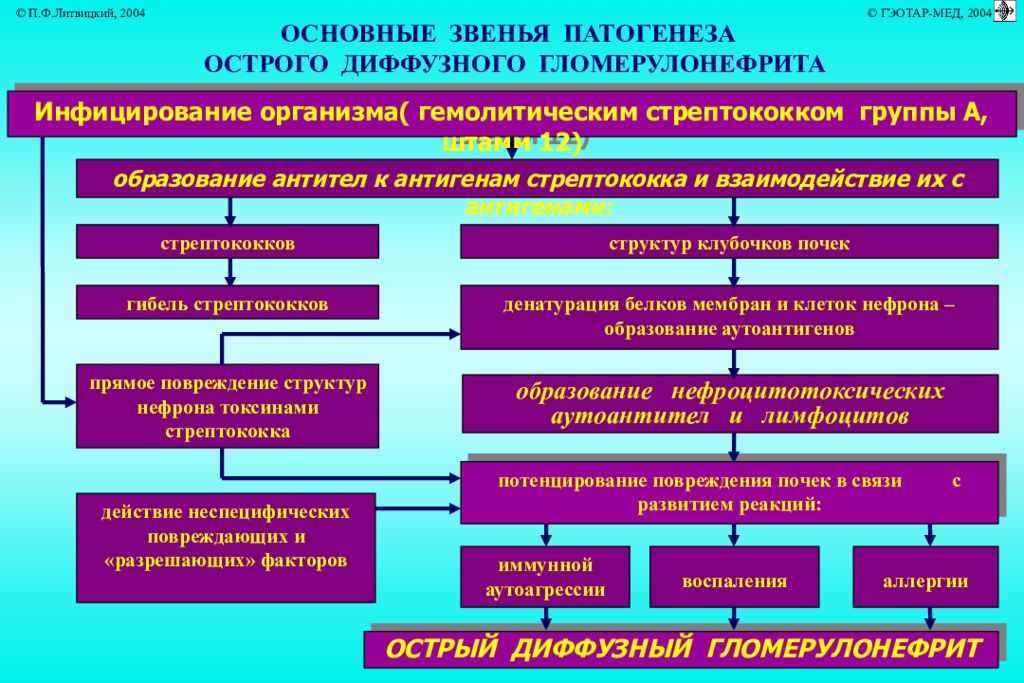 Патофизиология почек презентация