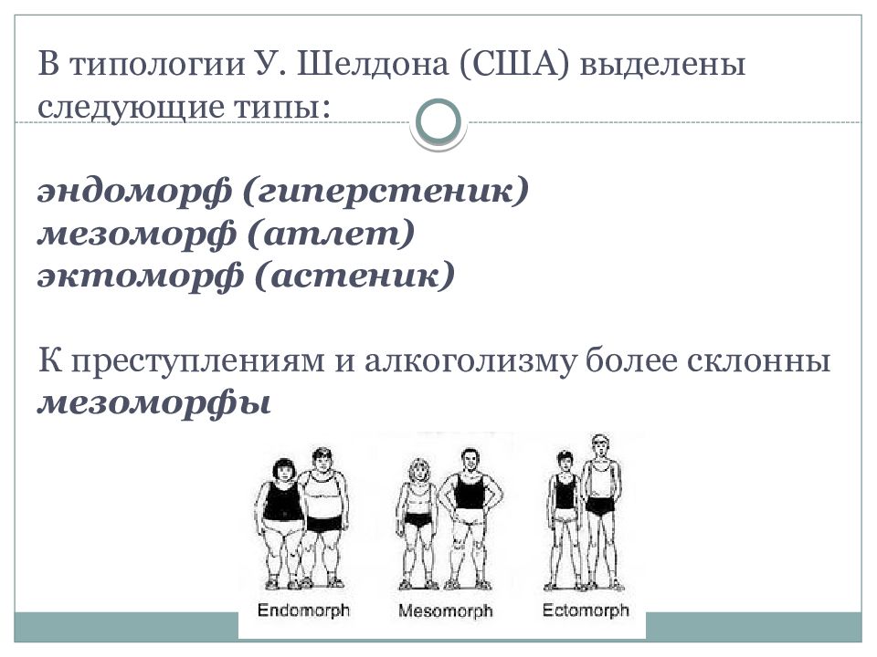 Теория темперамента шелдона. Шелдон типология личности. Типология темперамента Шелдона. Теория Шелдона о темпераменте. Конституциональные типы по Шелдону.