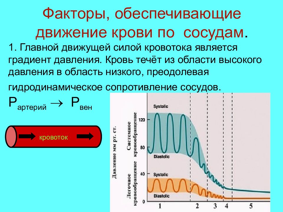 Давление в сосудах. Факторы обеспечивающие движение крови по сосудам низкого давления. Факторы обеспечивающие движение крови в сосудах. Факторы способствующие движению крови по сосудам.