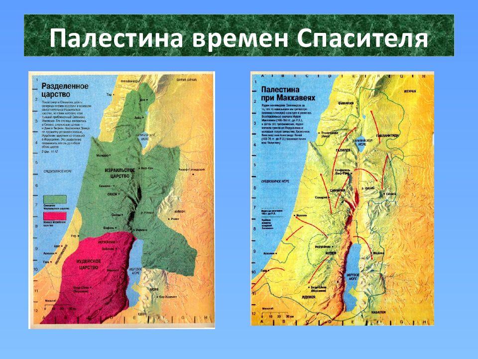 Покажи карту палестины. Палестина в древности карта. Географическая карта древней Палестины. Древняя Палестина на карте. Карта Палестины 1 века нашей эры.