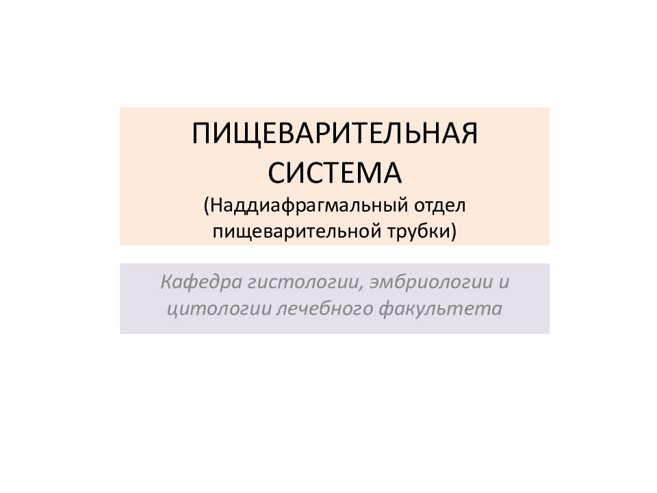 ПИЩЕВАРИТЕЛЬНАЯ СИСТЕМА (Наддиафрагмальный отдел пищеварительной