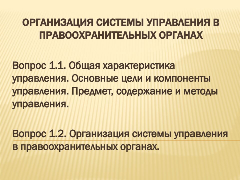 Организация системы управления в правоохранительных органах
