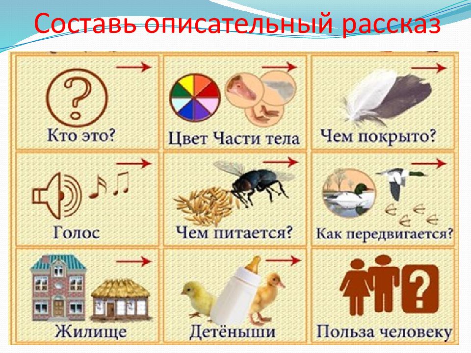 Описательный рассказ