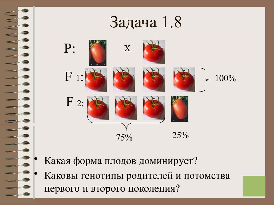 Каковы генотипы потомства. В задачах по генетике f1 и f2. Каковы генотипы родителей, генотипы первого поколения.. Каковы генотипы родителей и потомства?. Какая форма плодов доминирует.