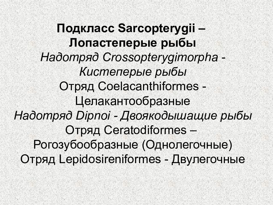 Вторичноротые. Подкласс лопастеперые рыбы. Лопастеперые систематика. Подкласс лопастеперые рыбы общая характеристика. Систематика лопастеперых рыб.