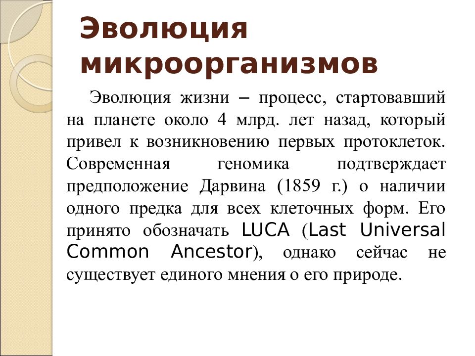 Шел развития. Эволюция микроорганизмов. Развитие микроорганизмов. Этапы эволюции микроорганизмов. Основные этапы эволюции микроорганизмов.