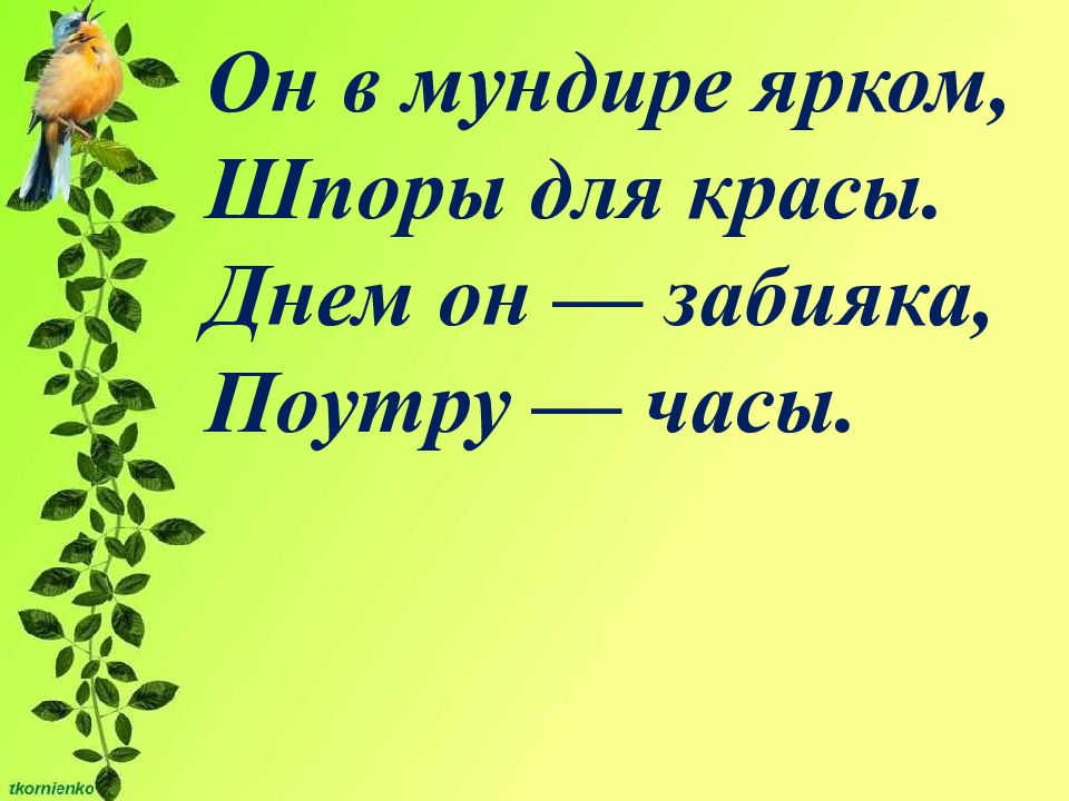 Картинки безопасность при общении с животными