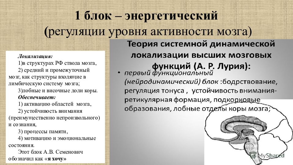 Энергетический блок мозга блок регуляции тонуса и бодрствования презентация