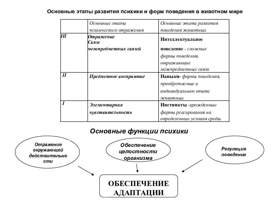 Главное развитие. Основные стадии развития психики. Стадии развития психики таблица. Стадии развития психики животных. Основные этапы развития психики у животных.